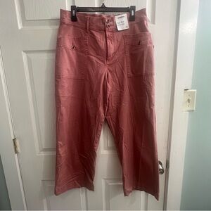 Sonoma High Rise Wide Leg Pants Desert Mauve Size Petite LARGE (PL) NWT On Trend